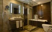 Туры в отель The Concord Hotel And Suites