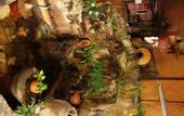 Туры в отель Shanti Lodge Bangkok