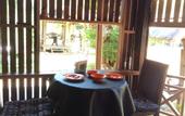 Туры в отель Boutique Village Hotel