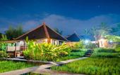Туры в отель Ubud Sawah Homestay
