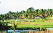 Туры в отель Ubud Sawah Homestay