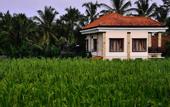 Туры в отель Ubud Sawah Homestay