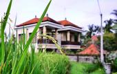 Туры в отель Ubud Sawah Homestay