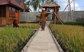 Туры в отель Ubud Sawah Homestay