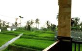 Туры в отель Ubud Sawah Homestay