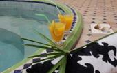 Туры в отель Riad Miliana