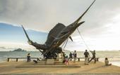 Туры в отель Andaman Pearl Resort