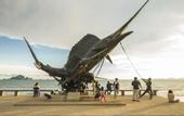 Туры в отель Andaman Pearl Resort