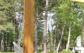 Туры в отель Гостевой дом Архыз Сити Софийская поляна