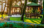 Туры в отель Georgia Palace Hotel & Spa