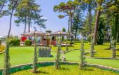 Туры в отель Georgia Palace Hotel & Spa