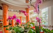 Туры в отель Georgia Palace Hotel & Spa