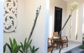 Туры в отель Blanjong Home Stay