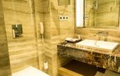 Туры в отель Renaissance Lucknow Hotel