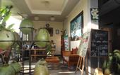 Туры в отель Villa JJ and Spa Ubud