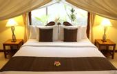 Туры в отель Villa JJ and Spa Ubud