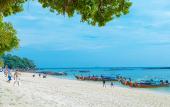 Туры в отель Paradise Resort PHI PHI