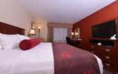 Туры в отель Amsterdam Teleport Hotel