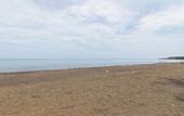Туры в отель Singaraja Beach Hotel