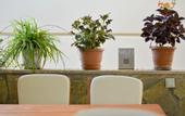 Туры в отель Kaya Apart Hotel Datca