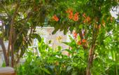Туры в отель Kaya Apart Hotel Datca
