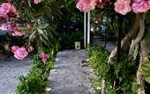 Туры в отель Kaya Apart Hotel Datca