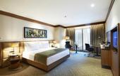 Туры в отель Divan Adana