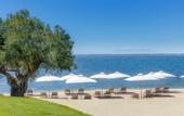 Туры в отель Ikos Olivia