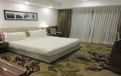Туры в отель Sayaji Kolhapur