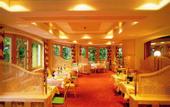 Туры в отель Alpenhotel Fernau