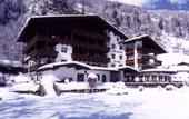 Туры в отель Alpenhotel Fernau