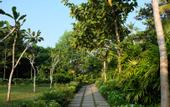 Туры в отель Aavya Cove Villas By Aahaasa