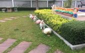 Туры в отель Seashell Resort Krabi