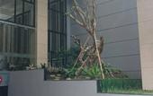Туры в отель Travello Hotel Bandung