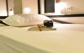 Туры в отель The Yard Hostel