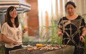 Туры в отель The Yard Hostel