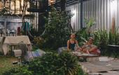 Туры в отель The Yard Hostel