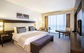 Туры в отель Royal M Hotel Fujairah