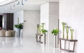 Туры в отель Royal M Hotel Fujairah
