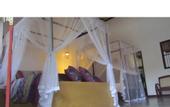 Туры в отель Unawatuna Royal Lotus Villa