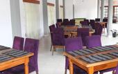 Туры в отель Paradise Inn