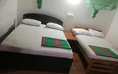 Туры в отель Lal HomeStay