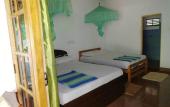 Туры в отель Lal HomeStay