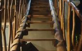 Туры в отель Jungle House Udawalawe Holiday Lodge