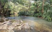 Туры в отель Jungle House Udawalawe Holiday Lodge