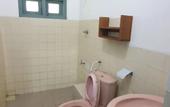 Туры в отель Jungle House Udawalawe Holiday Lodge