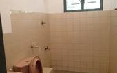 Туры в отель Jungle House Udawalawe Holiday Lodge