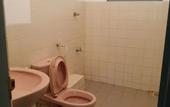 Туры в отель Jungle House Udawalawe Holiday Lodge