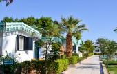 Туры в отель Ghazala Beach Hotel