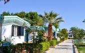Туры в отель Ghazala Beach Hotel